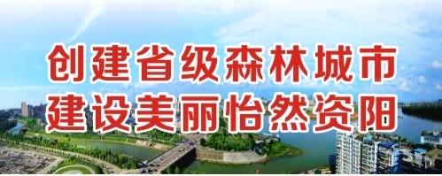 操逼操呢创建省级森林城市 建设美丽怡然资阳